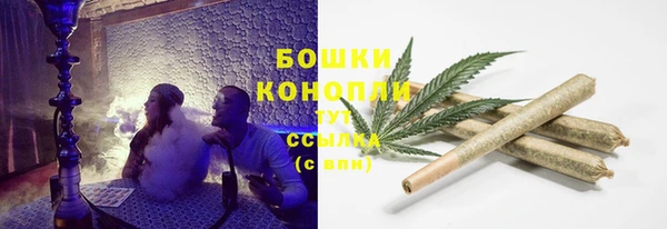 амф Няндома