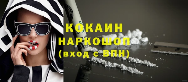 стаф Тайга