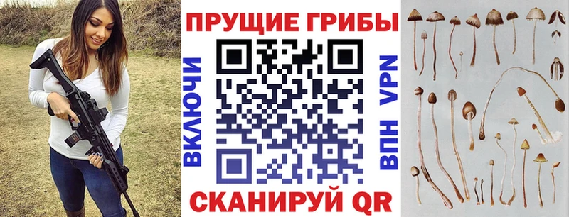 Псилоцибиновые грибы Magic Shrooms  Собинка 